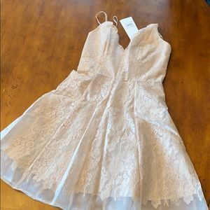 Keepsake light pink lace dress